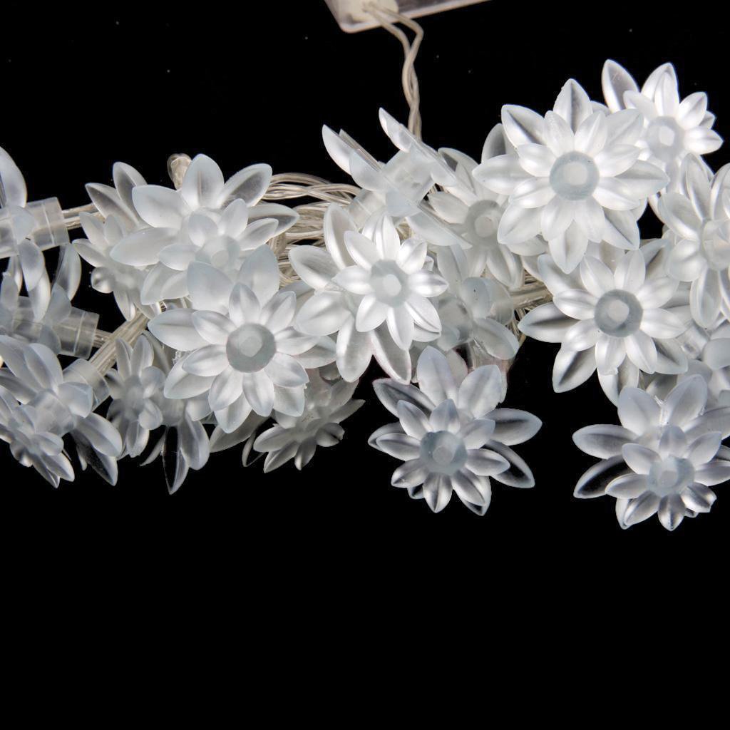 View 7