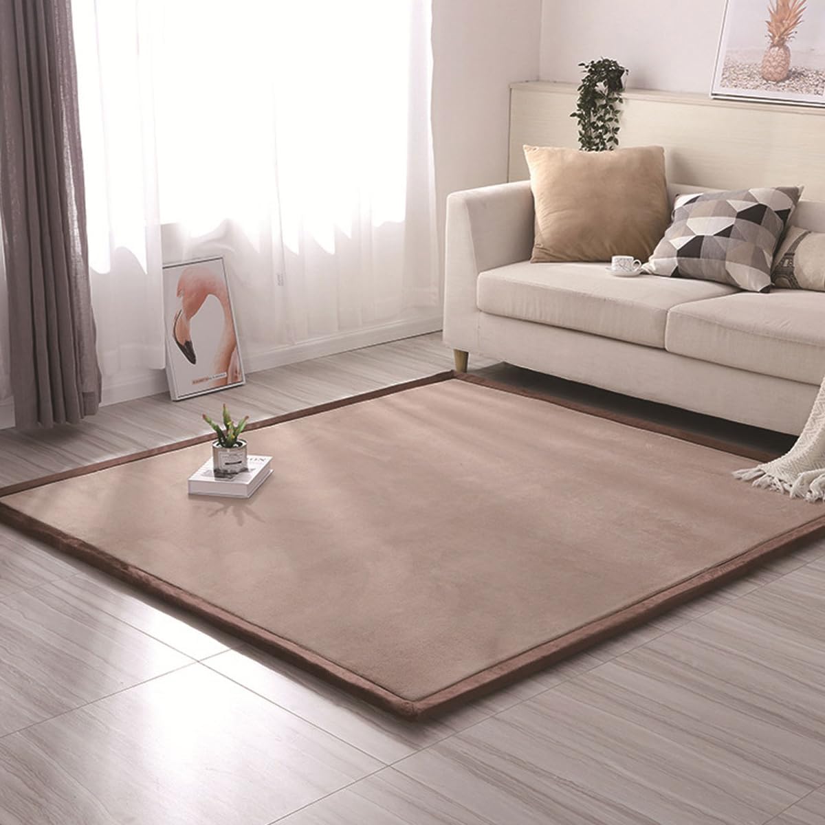Living Room Home Decor Coral Fleece Area Rug,Modern Nursery Washable Kids Bedroom Rug,Girls Boys Soft Non-Slip Soft Mat,2cm Thick Kids Carpet -F- 60 * 150cm
