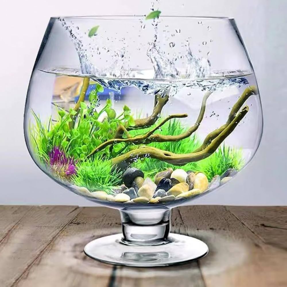 aquarium kaca small pot aquarium