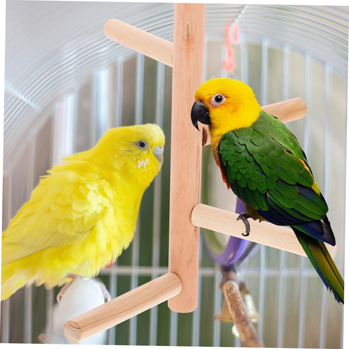 VANZACK 8piezas De Madera para Pájaros Soporte Natural para Periquitos y Aves Percha y para Jaulas De Aves