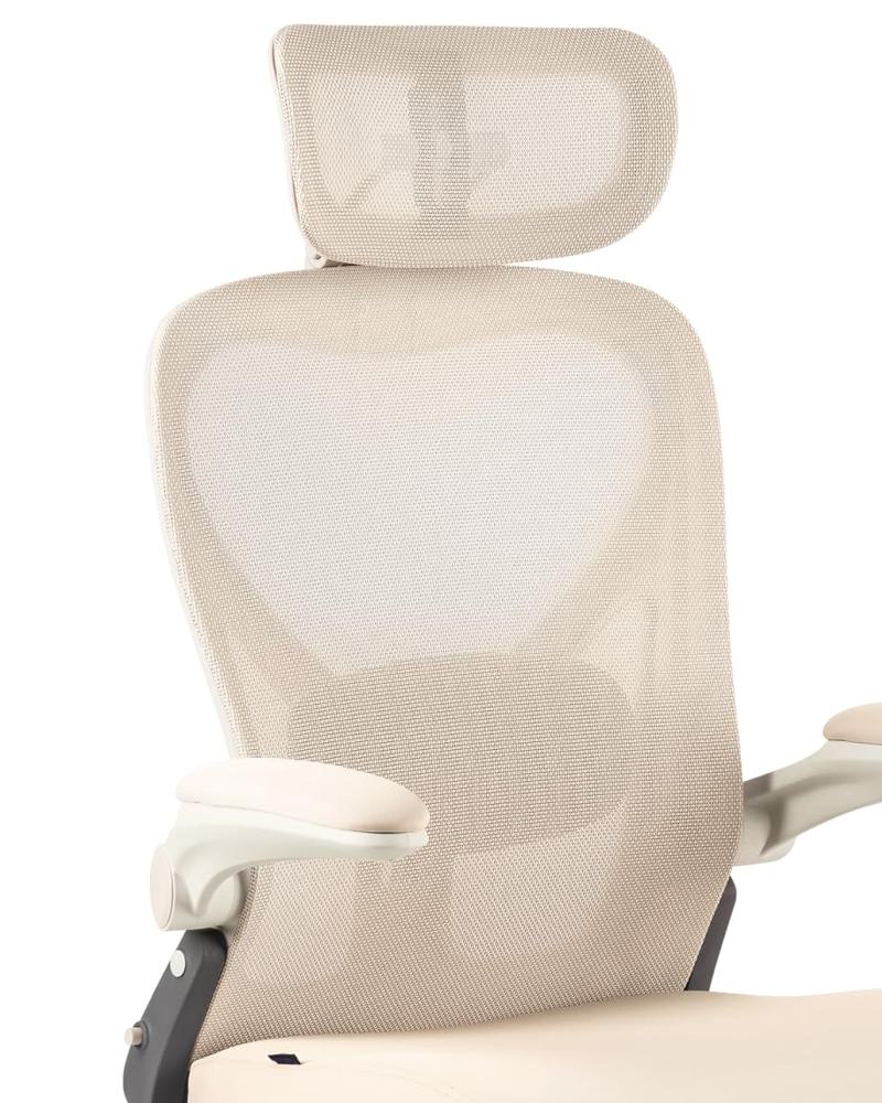 Amazon.com: FLEXISPOT Foldex Ergonomic Office Chair, Folding Chair