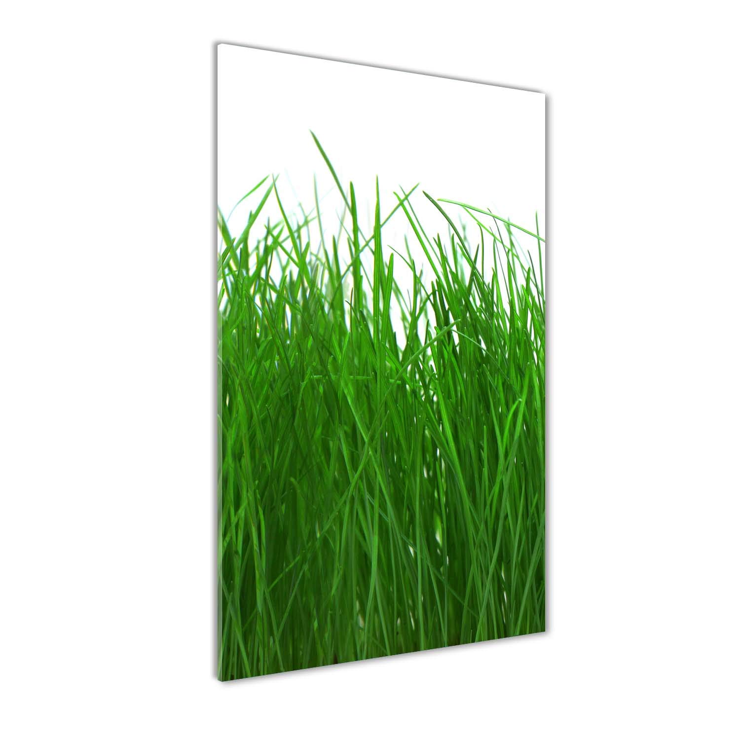 Tableau pour la Mur en Plexiglas Tulup 70x140 cm Art Mural Premium Vert