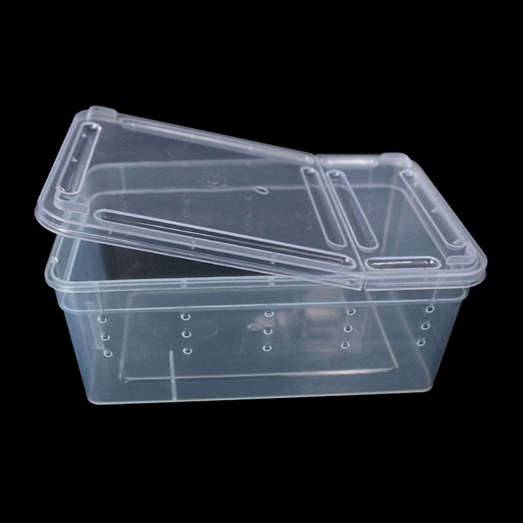 Jiamins Caja de Plástico Transparente con Tapa,Terrario de Alimentación para Crianza de Reptiles,Caja de mudanza para Insectos y Reptiles