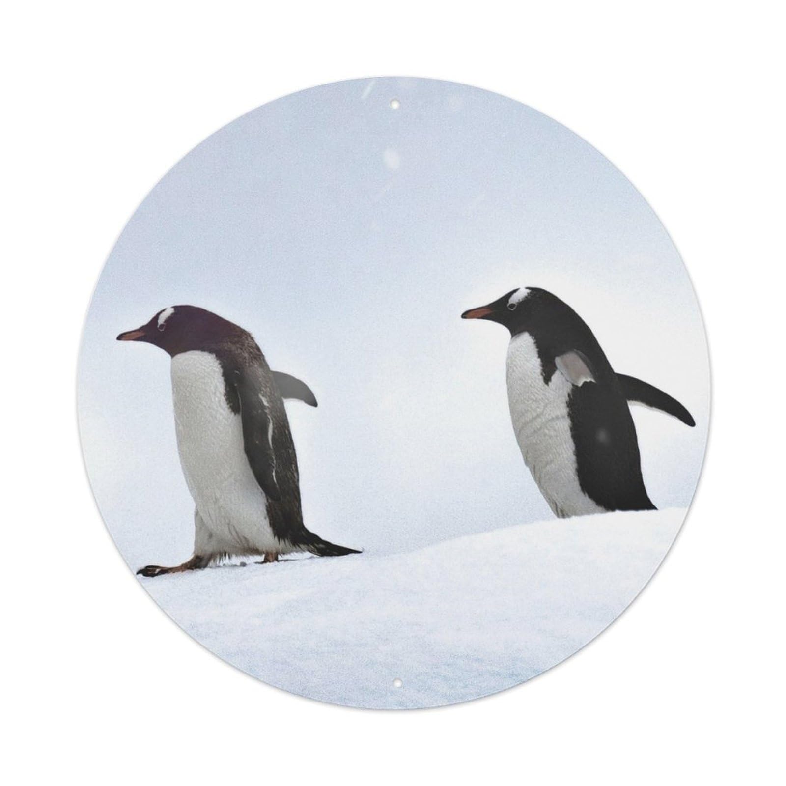 Gentoo Penguin Antarctica Wildlife Nature Poster Metal Tin Sign