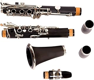 Clarinet B Flat Ebony Black Wind Instrument Beginner Exam Performance(Upgraded Synthetic Wood)
