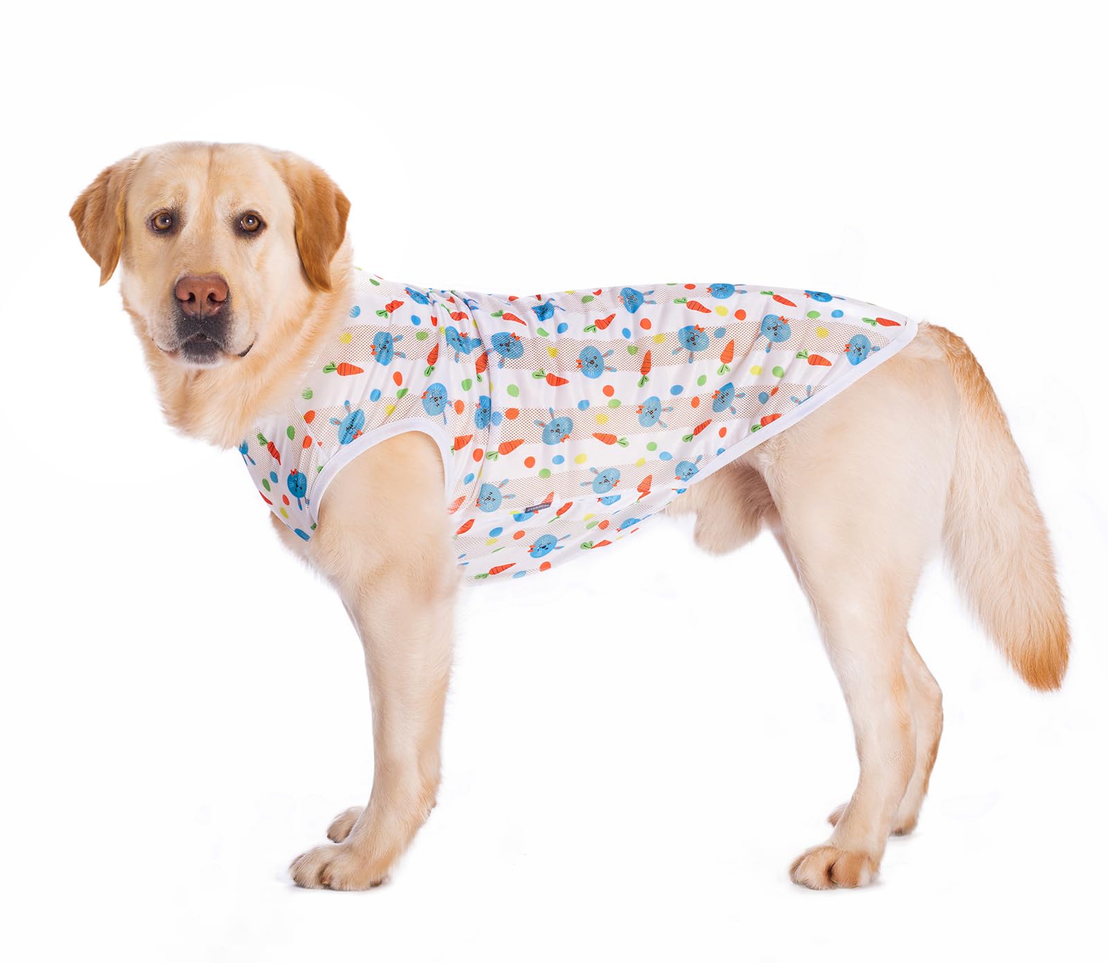 BT Bear Dog Cooling Shirt Quick Dry Sun Protection Dog Cooling T shirt Breathable Mesh Cool Vest for Small Medium Dogs,White XXL