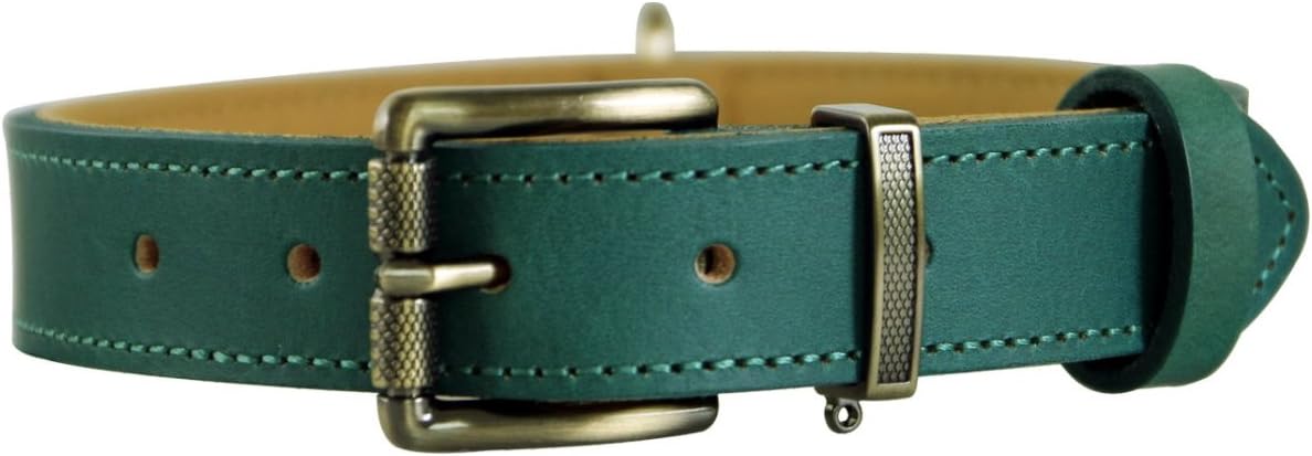 teal leather collar