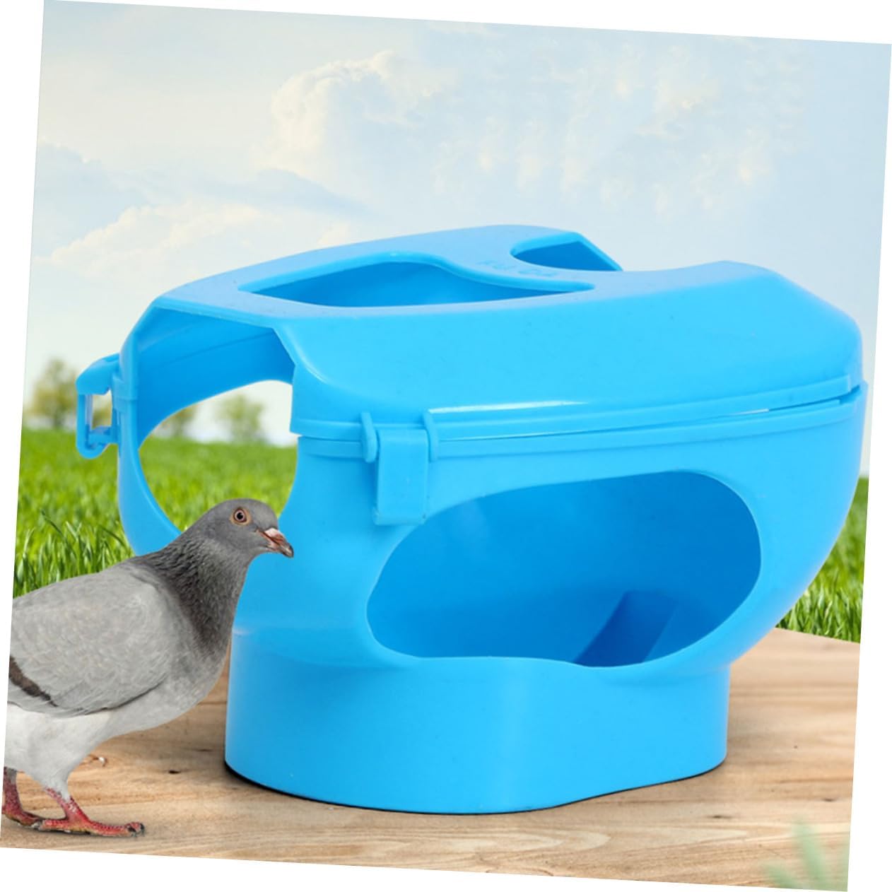 6pcs Practical Pigeon Supplies Birdcage Accessories Pigeon Tabs Holder