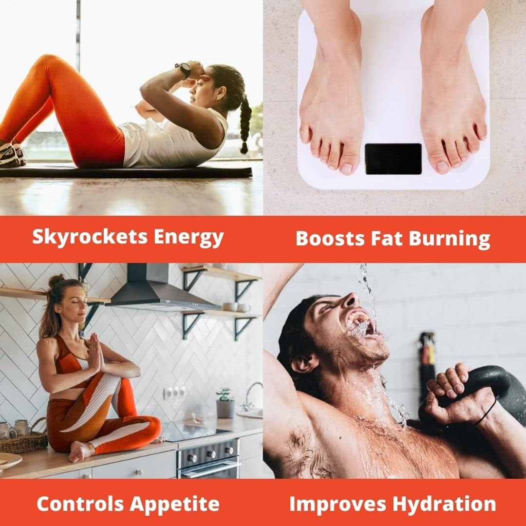 InMit | Intermittent Fasting Support Drink That Provides Nourishment with 9 Essential Ingredients. Vegan-Friendly, Gluten-Free, Non-GMO, Dairy-Free | Tropical Breeze : Health & Household
