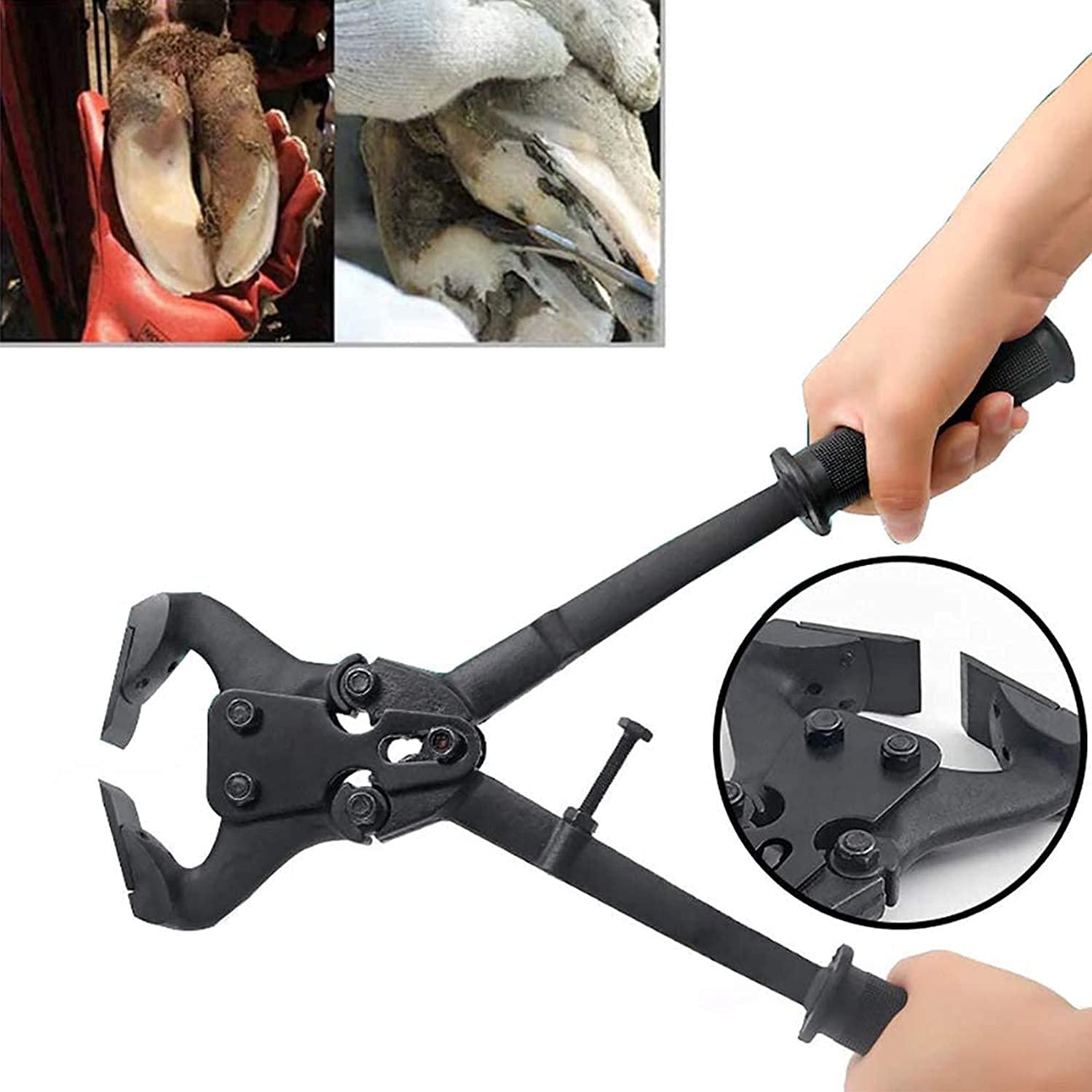 BAtlam Horse Hoof Farriers Nipper, Horse Equine Metal Tijeras Farriers Farriers Cutters Herramientas Profesionales para Recortar Cascos de Caballos para Reparar Cascos de Animales