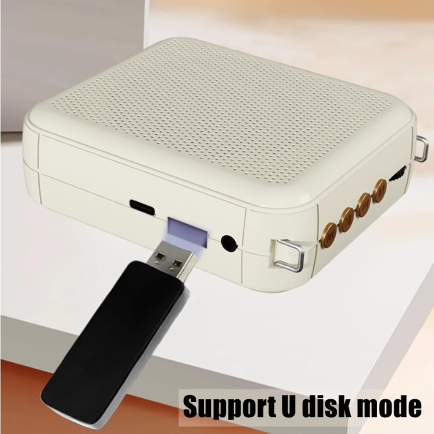 Amplificatore Vocale Ricaricabile Portatile Mini Altoparlante con Microfono Cablato Auricolare e Cintura Microfono Personale Altoparlante per Insegnanti Guida Turistica (Nero)