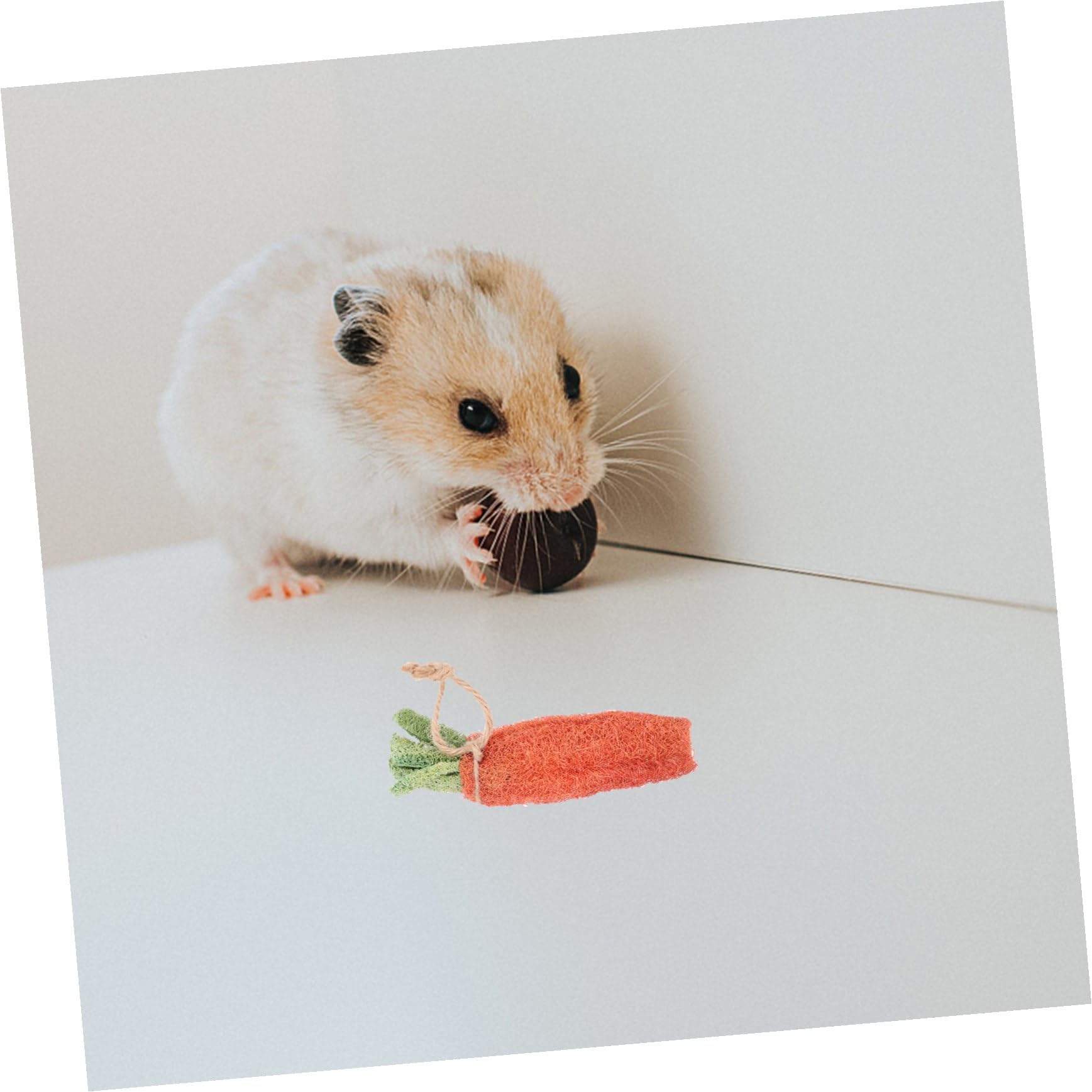 8 Pièces Mâcher pour Petits Animaux à Mâcher pour Hamster Accessoires Naturels pour Rongeurs Couleur Aléatoire