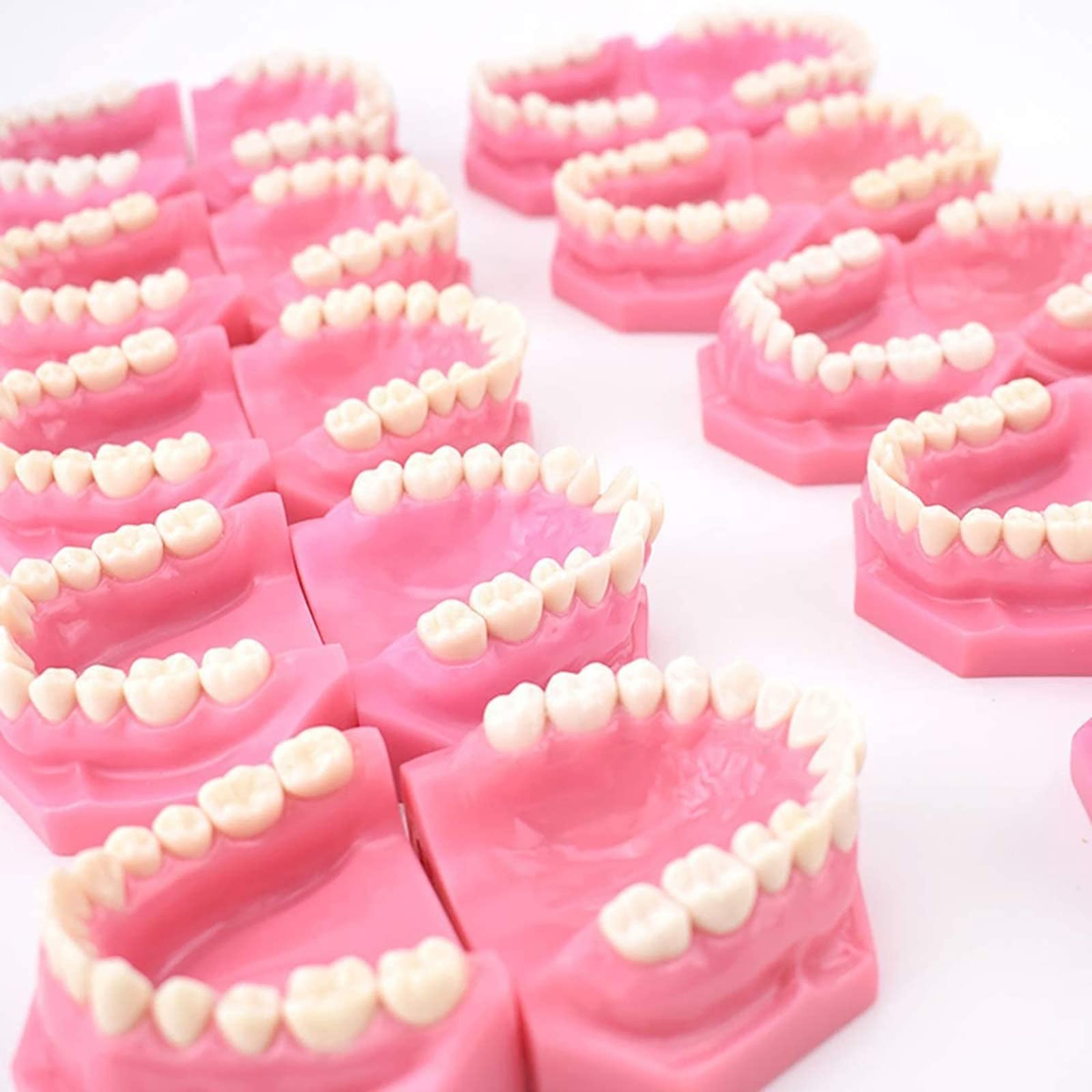 Dentysta Korekta Ortodontyczna Model Anatomiczny Do Nauki Stomatologii Badanie Zębów Dorosłych Model Dydaktyczny 10 Szt. Model Demonstracyjny Klasyfikacji Wad Z