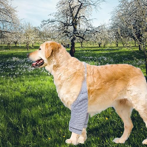 Powerruif 2 Stück Recovery Sleeve Hund, Ellenbogenbandage Hund Liegeschwielen Hund Euioovm Pet Knee Pads für Mittelgroße und Große Hunde Verhindert Das Lecken Von Wunden (Gelb Grau XXL)