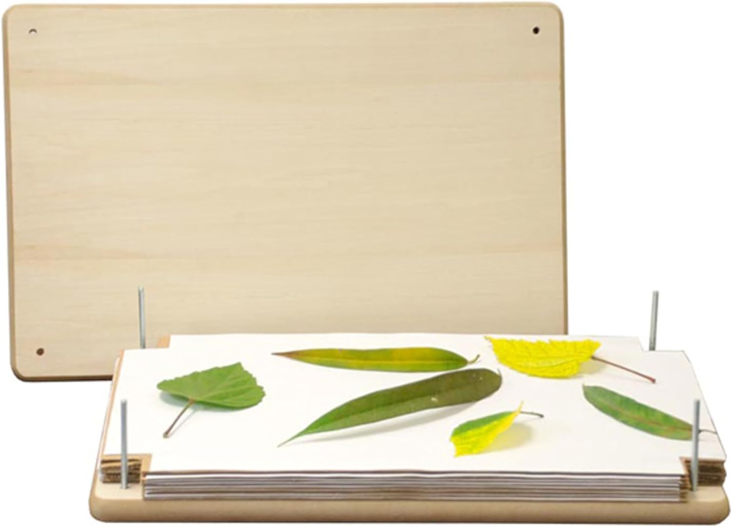 BestNest Nature Press Crafter's Kit with 1 Large and 2 Small Flower and Leaf Presses, Complete Wooden Plant Press Set with Blotting Paper and Hardware for Family Art Projects