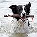 DOOG Barkley Fetch Stick – Safe and Splinter-Free Rubber Dog Toy, Lightweight, Durable, and Floatable – Perfect for Active Dogs, Easy to Clean