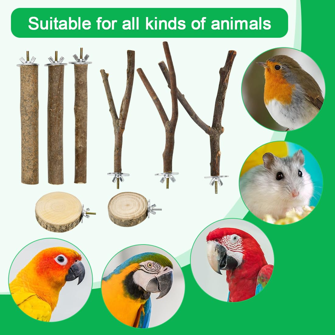 VGECEE 8 Pcs Perchas Naturales para Pajaros Perchas de Madera Naturales Tornillos Para Hacer Perchas Naturales para Jaulas Soporte de Percha Para Pájaros Para Ninfas Periquitos Agapornis Con Arandelas — view 7