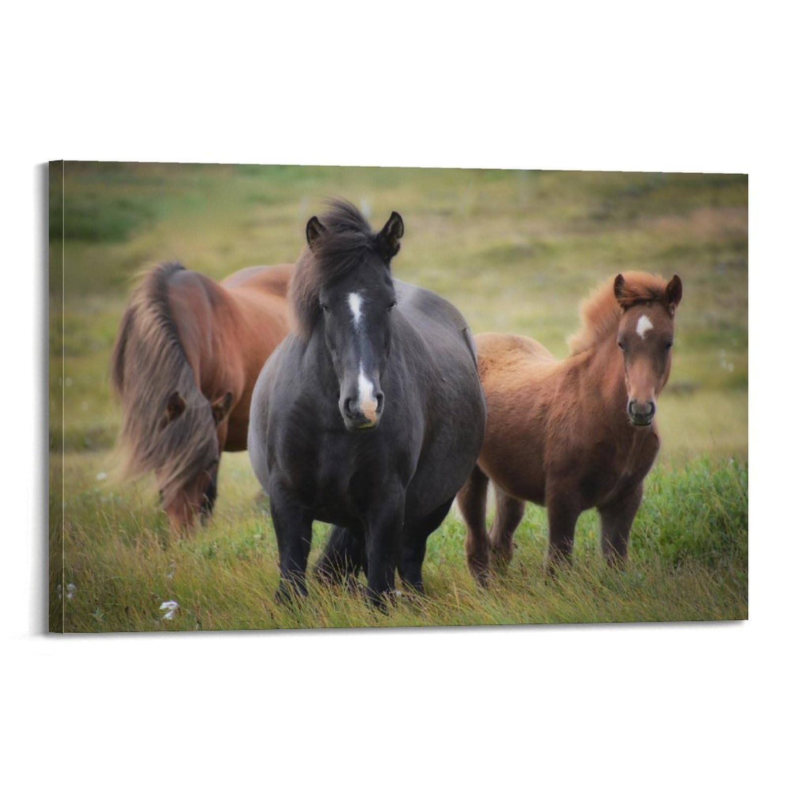 JTLFXY Animal Poster Horses on The Prairie Poster Decorative Painting Canvas Wall Posters And Art Picture Print Modern Family Bedroom Decor Posters 20x30inch(50x75cm)