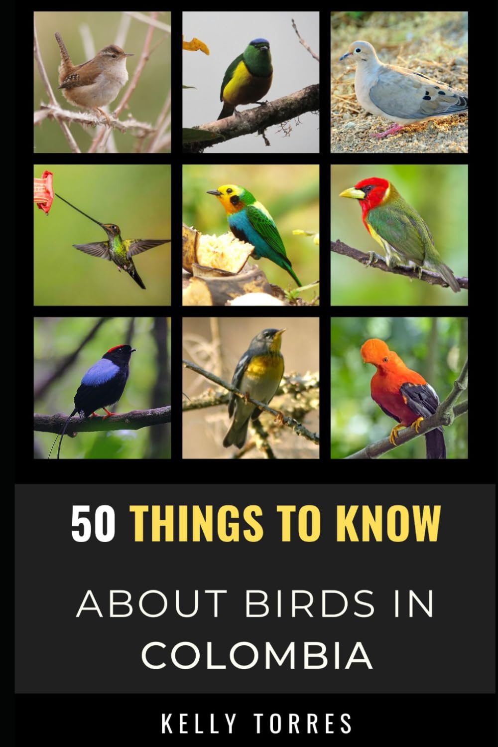 50 Things To Know About Birds In Colombia: Exploring Colombia’s Diverse Flying Creatures: 4 (50 Things to Know About Birds and Birdwatching: ... identification tips, and regional bird books)
