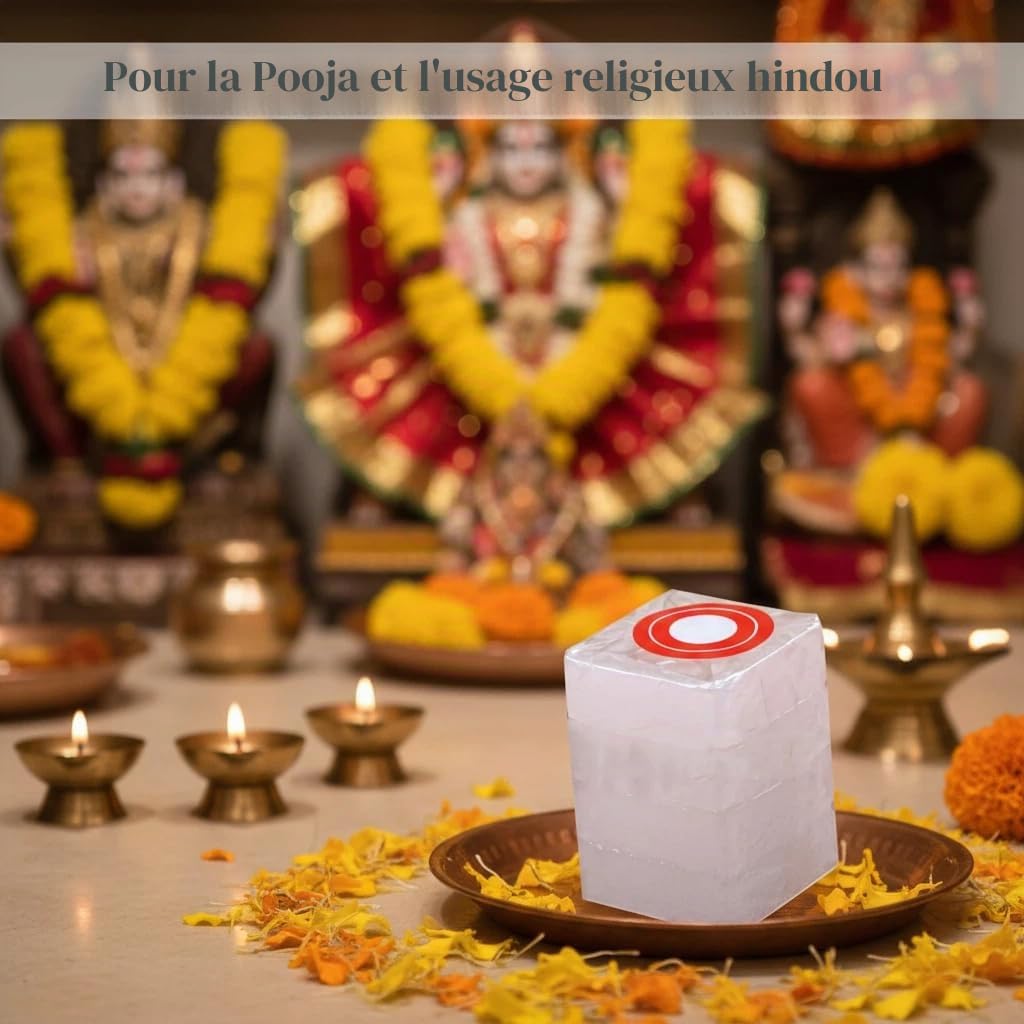 Camphre naturel blocs et cubes 300g pour Pooja Santeria religieux indiens
