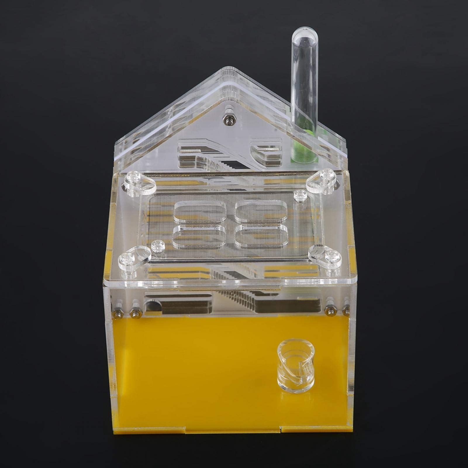 Formicaio Acrilico Trasparente Con Torre Dell'Acqua - Habitat Per Formiche Vive Con Accessori - Foto 13