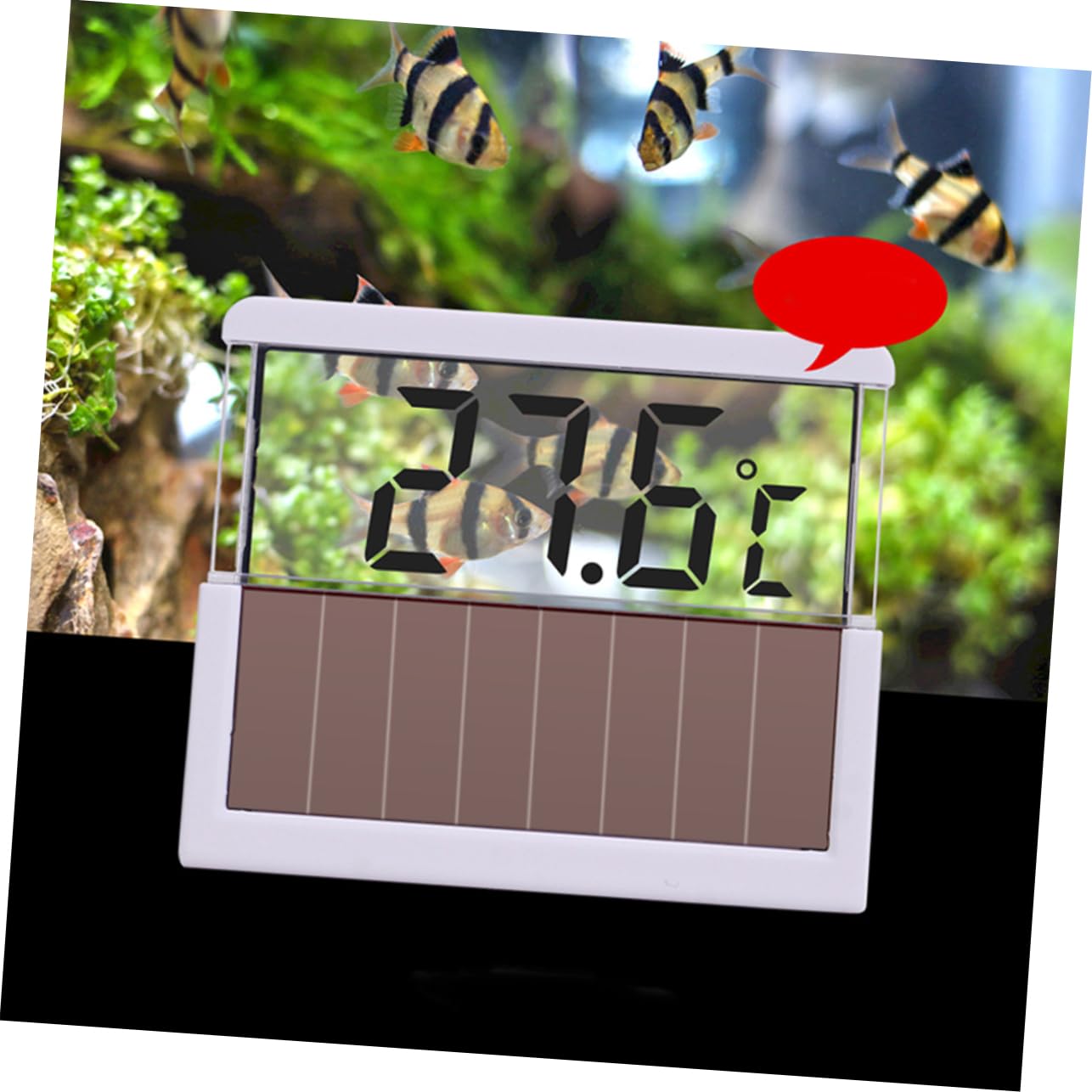 BESPORTBLE 3 Pièces Compteur De Température De l'eau Pêche à L'aquarium Numérique l'eau De L'aquarium l'eau du Réservoir De Poissons Thermomètre pour Aquarium Faire De La Pêche Blanche LED