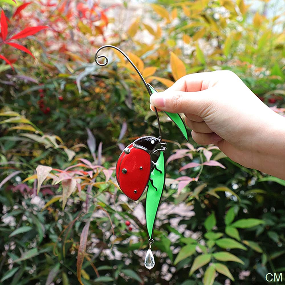 Acchiappasole Farfalla Decorativa in Acrilico Colorato, Suncatcher da Finestra, Decorazione da Appendere per Casa, Giardino, Balcone e Soggiorno, Regalo per Donna e Amanti delle Ispiratore Farfalle