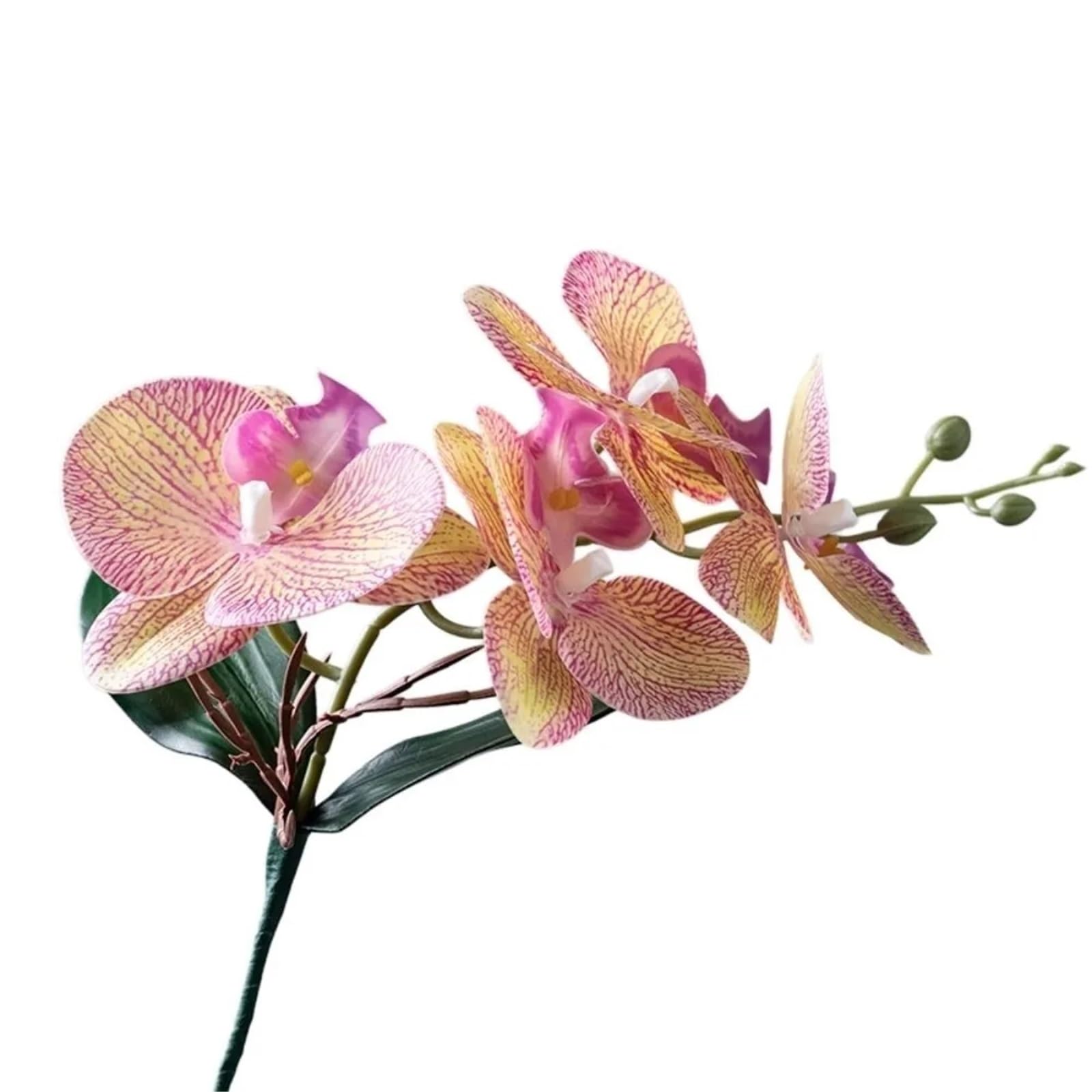 LSYHHXC Artificial Orchid Vivid Artificial Moth Orchids Cloth Realistic Simulation Phalaenopsis Plants With Leaves Fake Butterfly Orchid