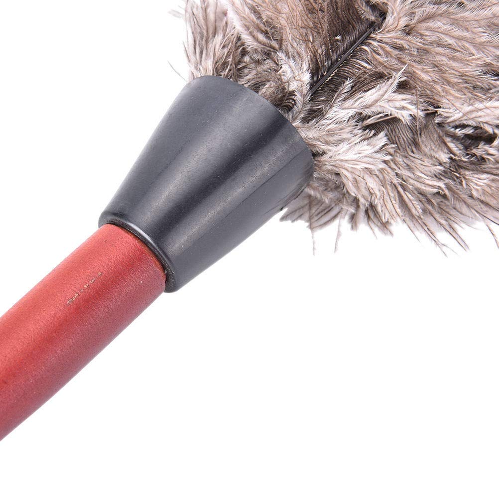 Plumeau En Plumes D'autruche Antistatique Avec Manche En Bois - SODIAL
