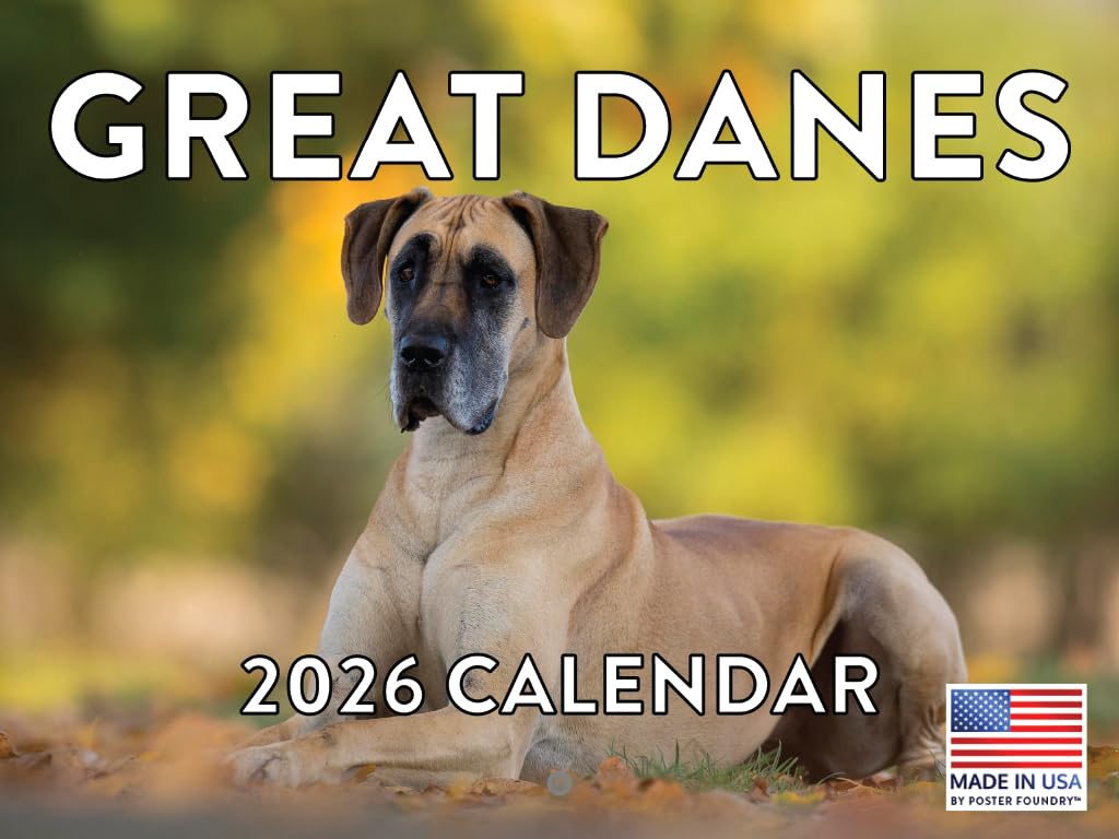 Great Dane Calendar 2026 Monthly Wall Calender 12 Month | American Made In The USA โ image 1