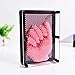 DONCIDAY Desk Toy 3D Plastic Pin Art Sensory Toy Game, 3.75