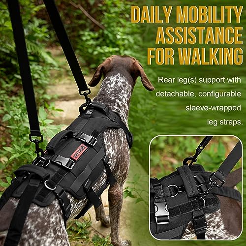 Image of OneTigris Dog Lift Harness for Large Dogs, Dog Hip Support Brace, Full Body Lifter with Handles Invictus Multifunctional Mobility Assistance Vest for Back Legs (Black, Small)