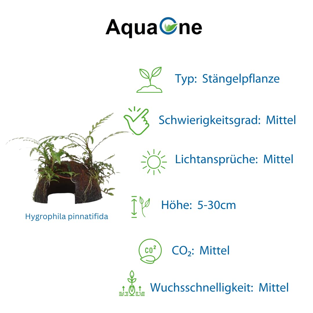 AquaOne Aquarium Pflanzen 2x Wasserpflanzen Set Mix mit 2 Aufsitzer