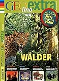  Geolino extra, 2012/Nr. 41: Wälder (inkl. DVD)