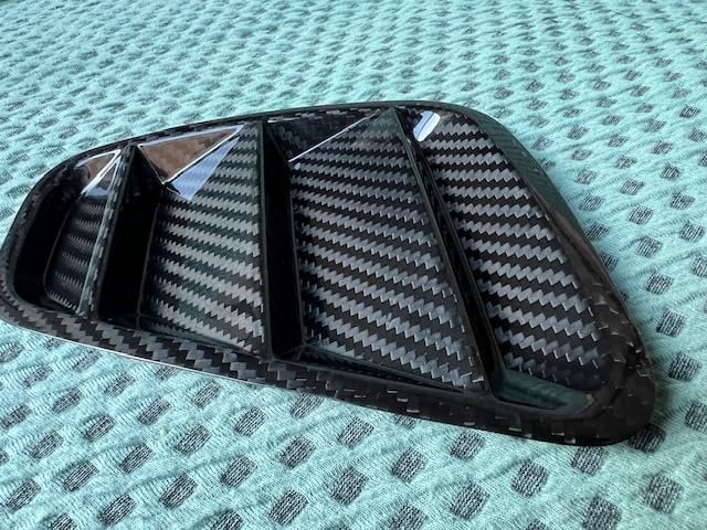 高品質 アバルト テールライト センターガーニッシュ リアル ドライ 高品質 アバルト テールライト センターガーニッシュ リアル ドライ