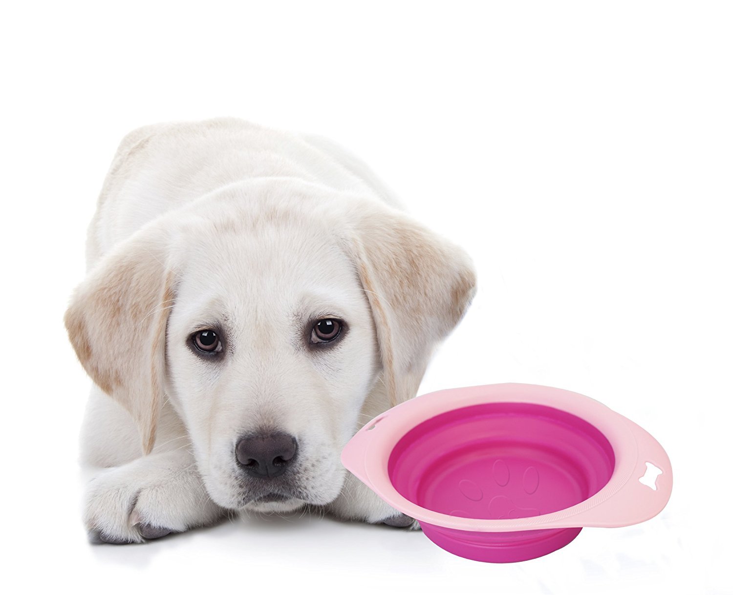 Pets Empire Silicone Collapsible Dog Bowl - Small Portable Bowl for Pet - Travel Anywhere - Folds Up for Compact Carry - Dishwasher Safe Easy to Clean (B078Y8DPK3) Amazon Price History, Amazon Price Tracker