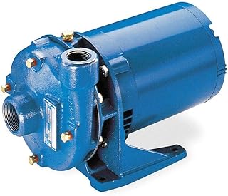 Goulds Water Technology Cast Iron 1 HP Centrifugal Pump, 1 Phase, 115/230VAC Voltage - 2BF21012