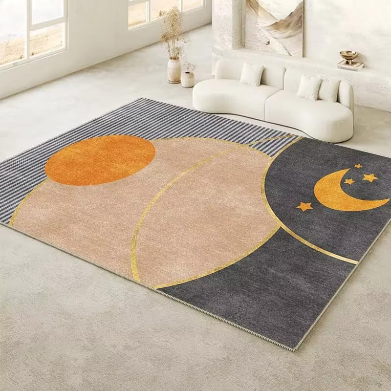 Tapis de salon grande taille lavable pour canapé et table