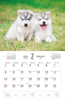 ふわふわこわんこ（月めくり/壁掛け/600mm×380mm） (インプレス