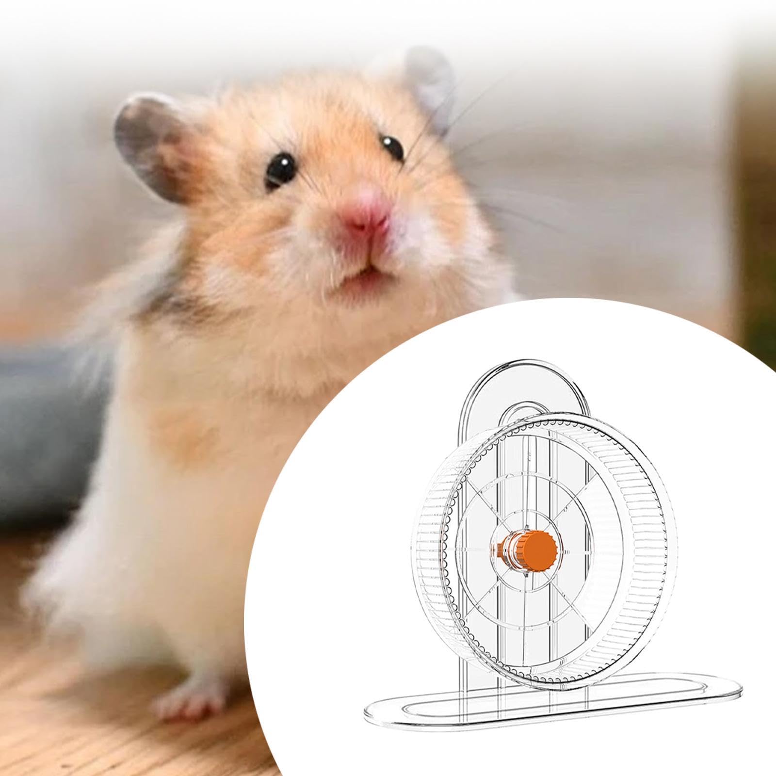 Roue d'exercice pour Hamster, Accessoire de Cage, Jouet de Jogging pour Souris, écureuils et Gerbilles, Diamètre de La Roue