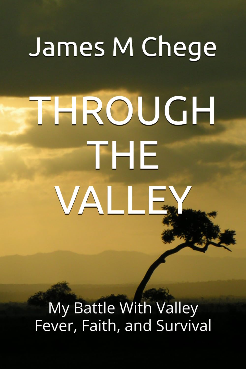 THROUGH THE VALLEY: My Battle With Valley Fever, Faith, and Survival
