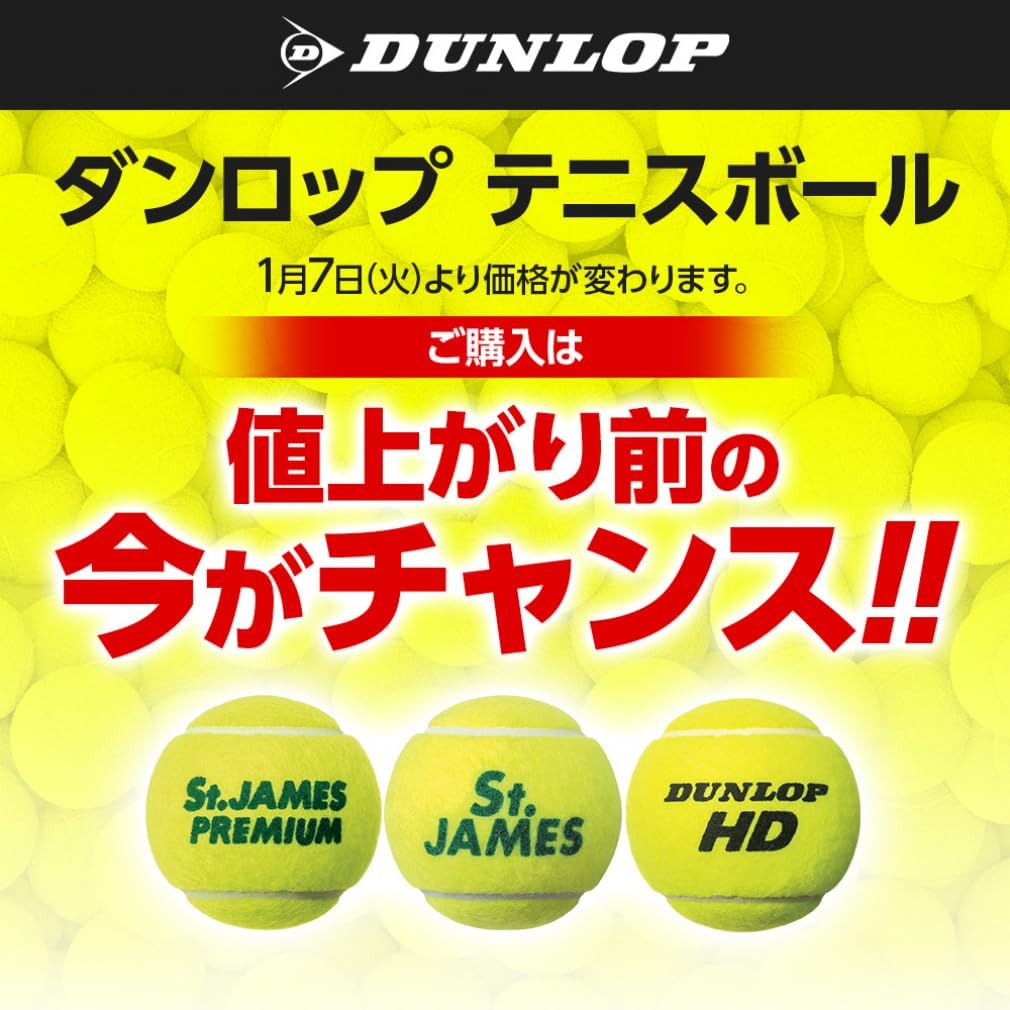 FORT テニスボール 16本セット