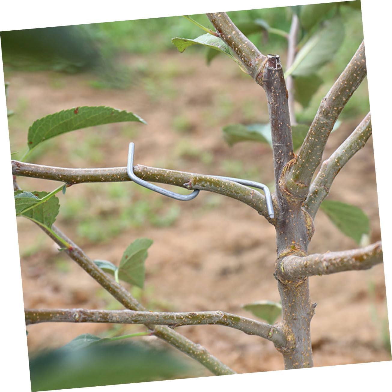 1 Set Plant Branch Benders S Shape Branch Pullers for Tree Training and Twig Fixing Durable Stem Trainer Tools for Pear and Other Fruit Trees