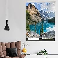 Vista 9 de ZSHINE Tela impermeable opaca inalámbrica manual tamaño personalizado y persianas enrollables con cenefa