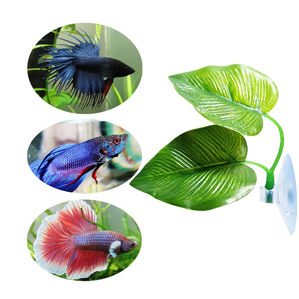 Betta Bed Blad Hangmat Betta Vis Blad Hangmat - 4 Stuks Set, Lichtgewicht Rustplek Voor Je Siamese Kempvis, BPA-vrij En Veilig Rustplaats Voor Siervis Betta Bed Blad Hangmat Betta Vis Blad Hangmat - 4 Stuks Set, Lichtgewicht Rustplek Voor Je Siamese Kempvis, BPA-vrij En Veilig Rustplaats Voor Siervis