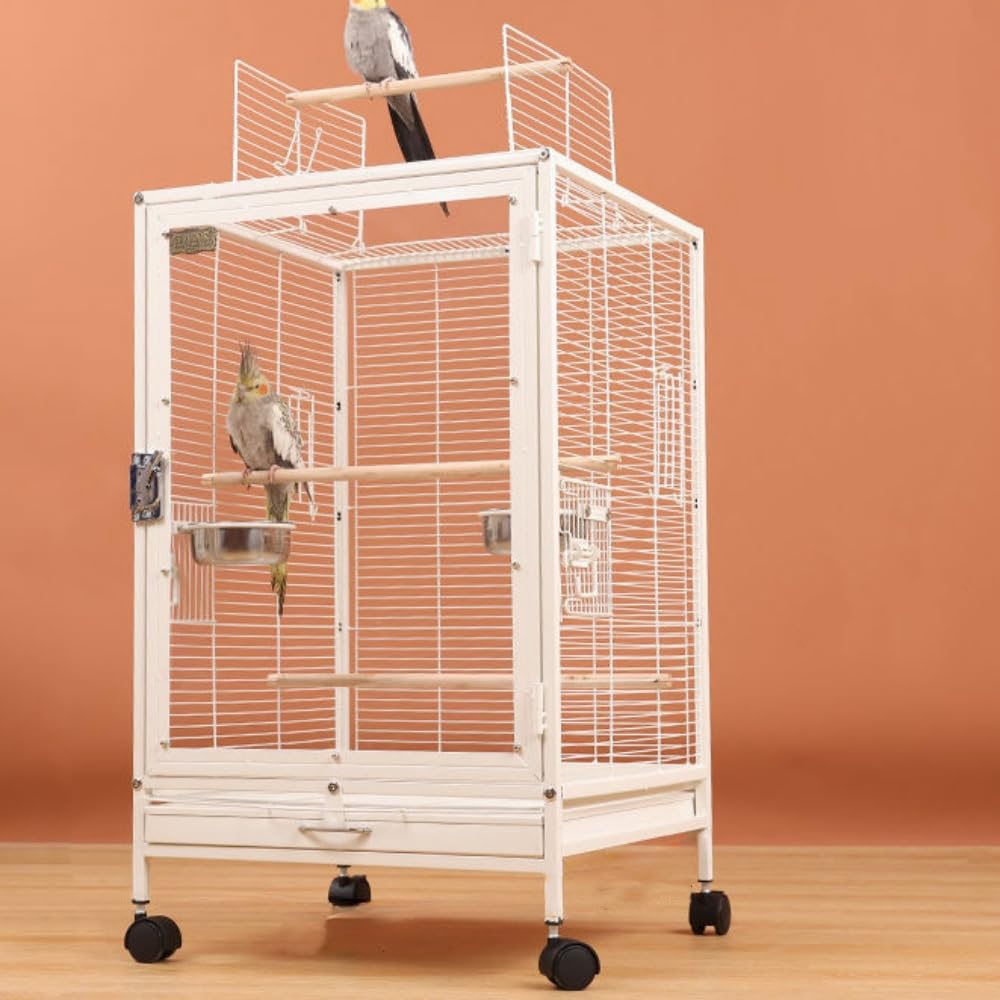 Amazon | Aeroor鳥かご バードケージ 小鳥のおり 美しい鳥かご クリア