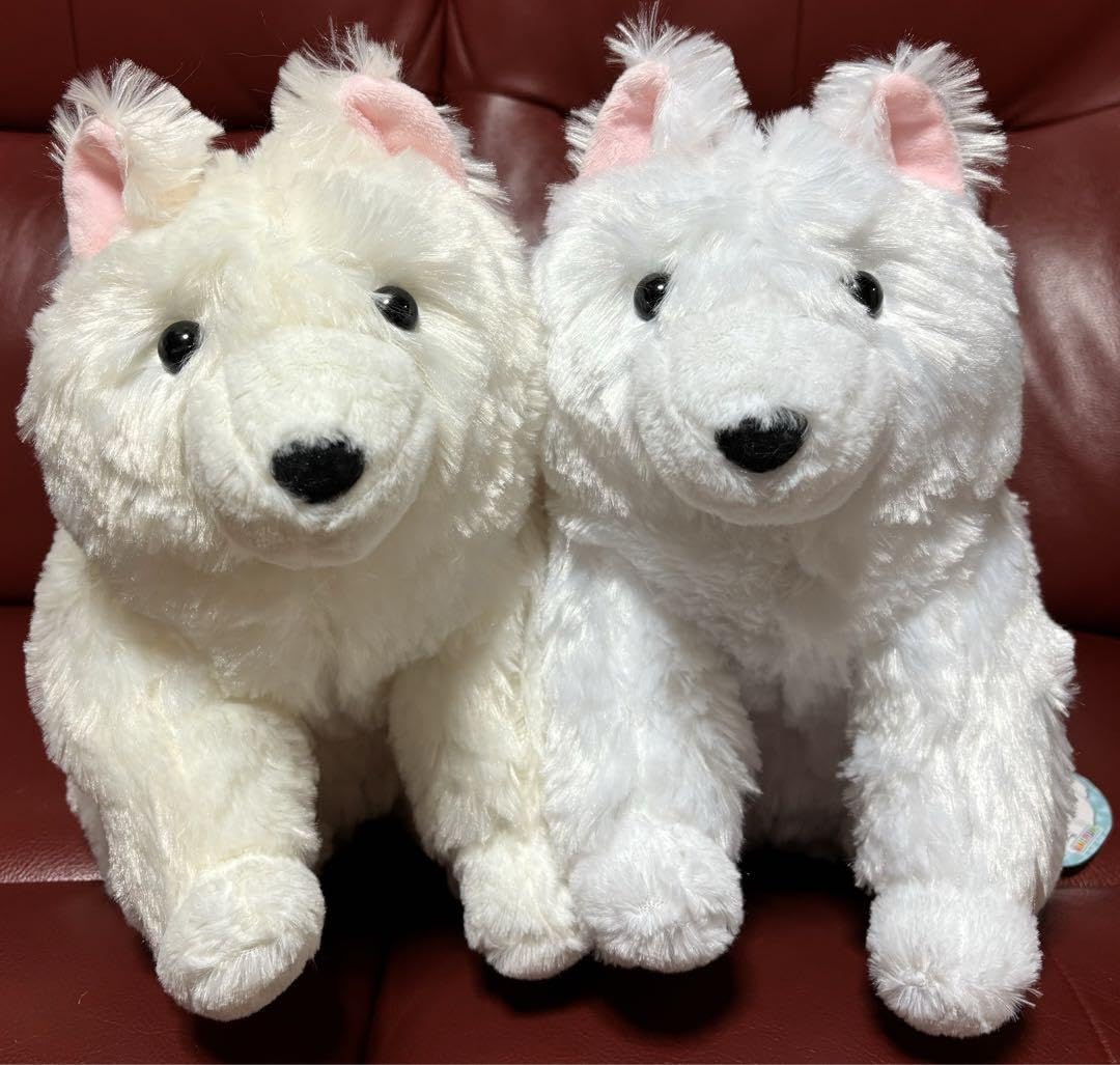 くったり サモエドくん ぬいぐるみ マスコット 全３種 12個 ≪9月の新商品≫くったりサモエドくん-NEW ITEM！｜アミューズ