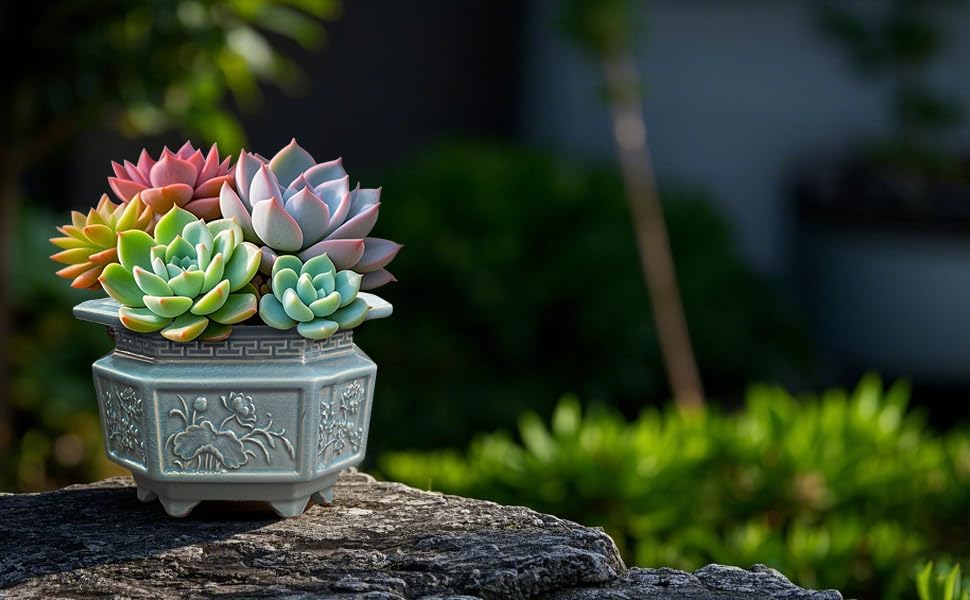 8-Inch Large Octagon Bonsai Pot Light Blue Water Glaze Bonsai Tree Ceramic Flower Pot Handmade