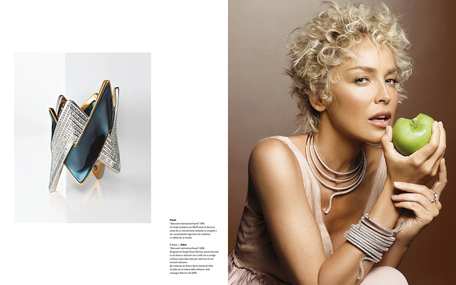 Damiani: A Century of Jewelry Artistry Crafted by a Family Dream