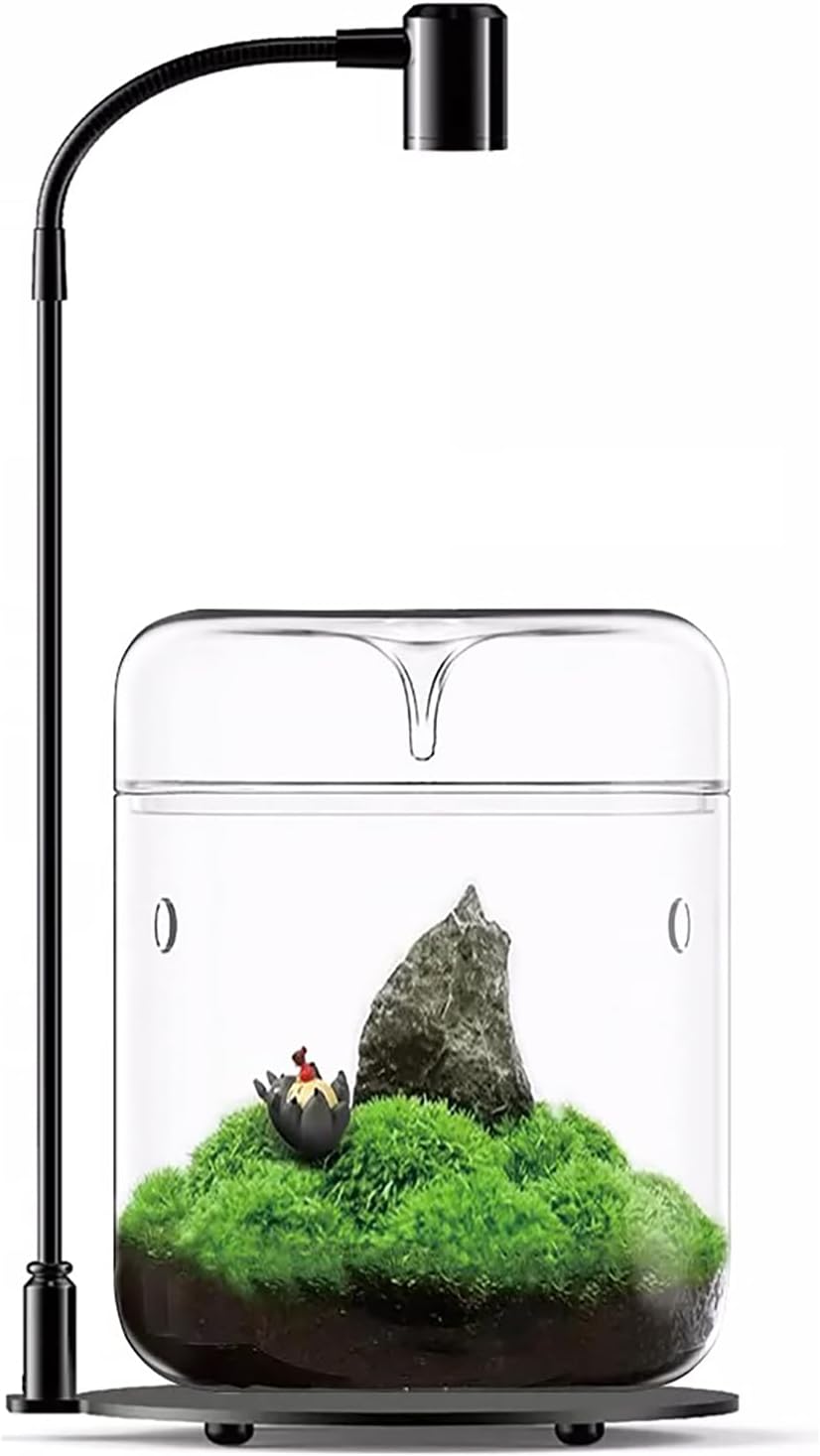 SARUFO Glass Plant Terrarium 4.7"X7" Inches Succulent Air Planter Fern Moss Micro-Landscape Vase for Home Office Tabletop Decoration Container with Lid Indoor Wardian Copyright Patent（with Light）